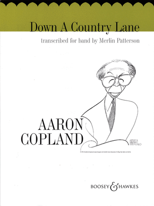 Book cover for Down a Country Lane