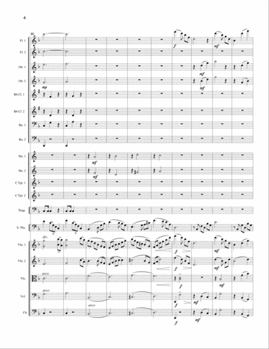 Concerto del Garda Concerto del Garda Orchestra scores gallery preview page 5