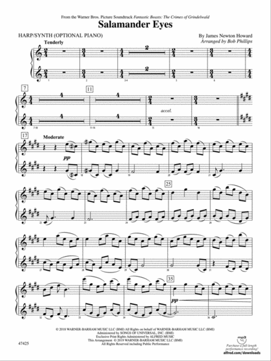 Salamander Eyes: Piano Accompaniment Orchestra scores gallery preview page 1