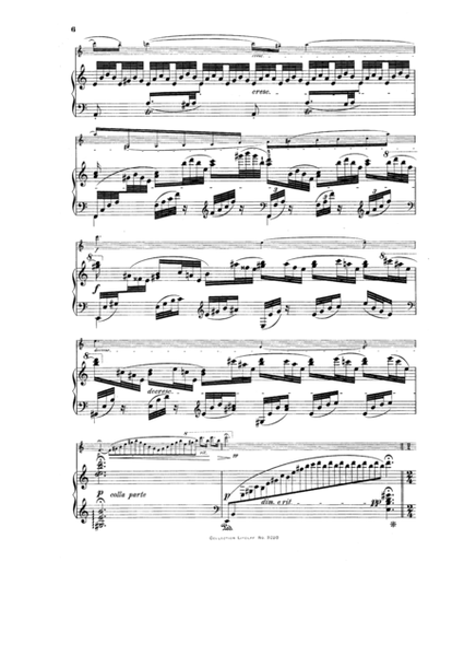 Franz Schubert - Fantasy for Violin and Piano in C major 