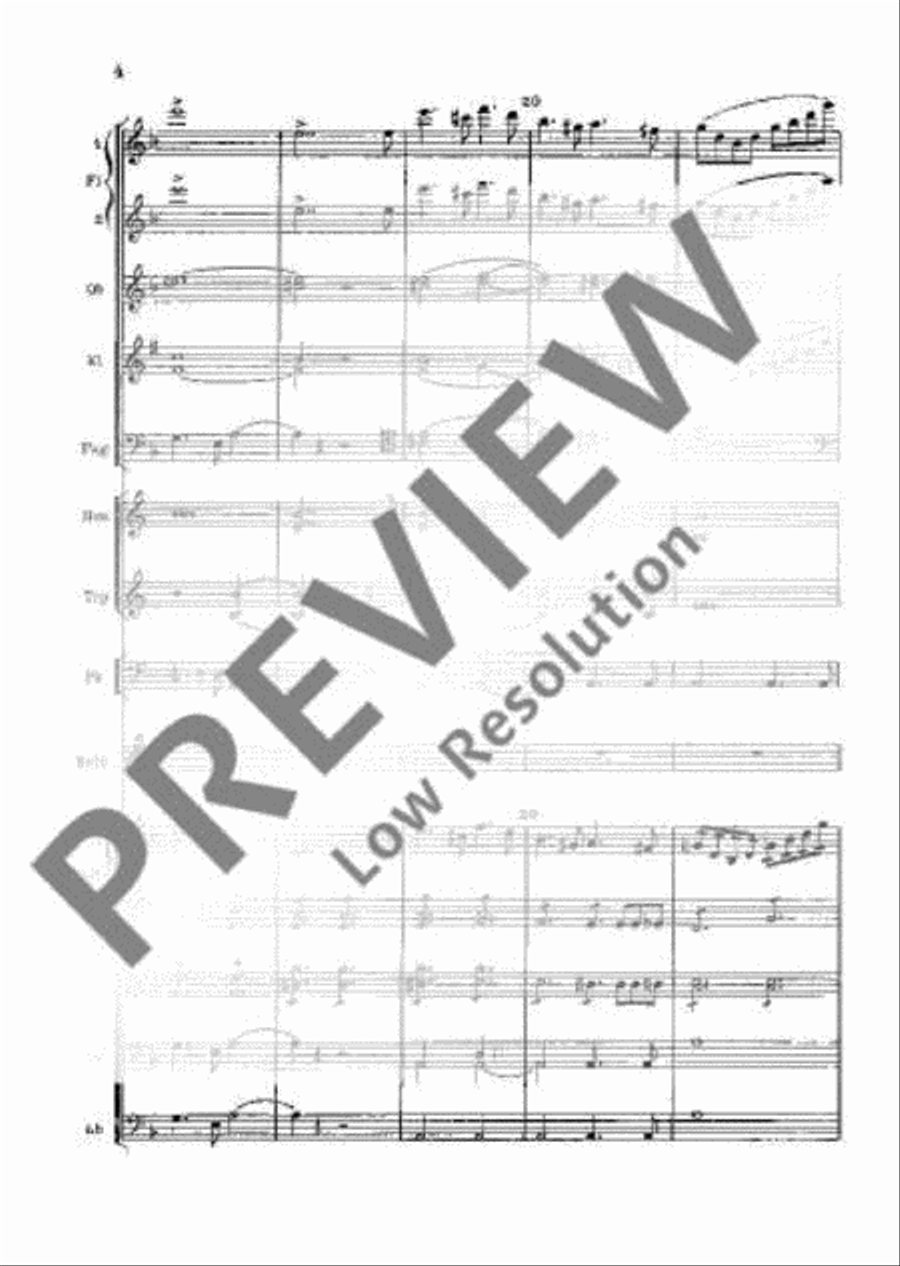 Concerto D Minor Orchestra scores gallery preview page 9