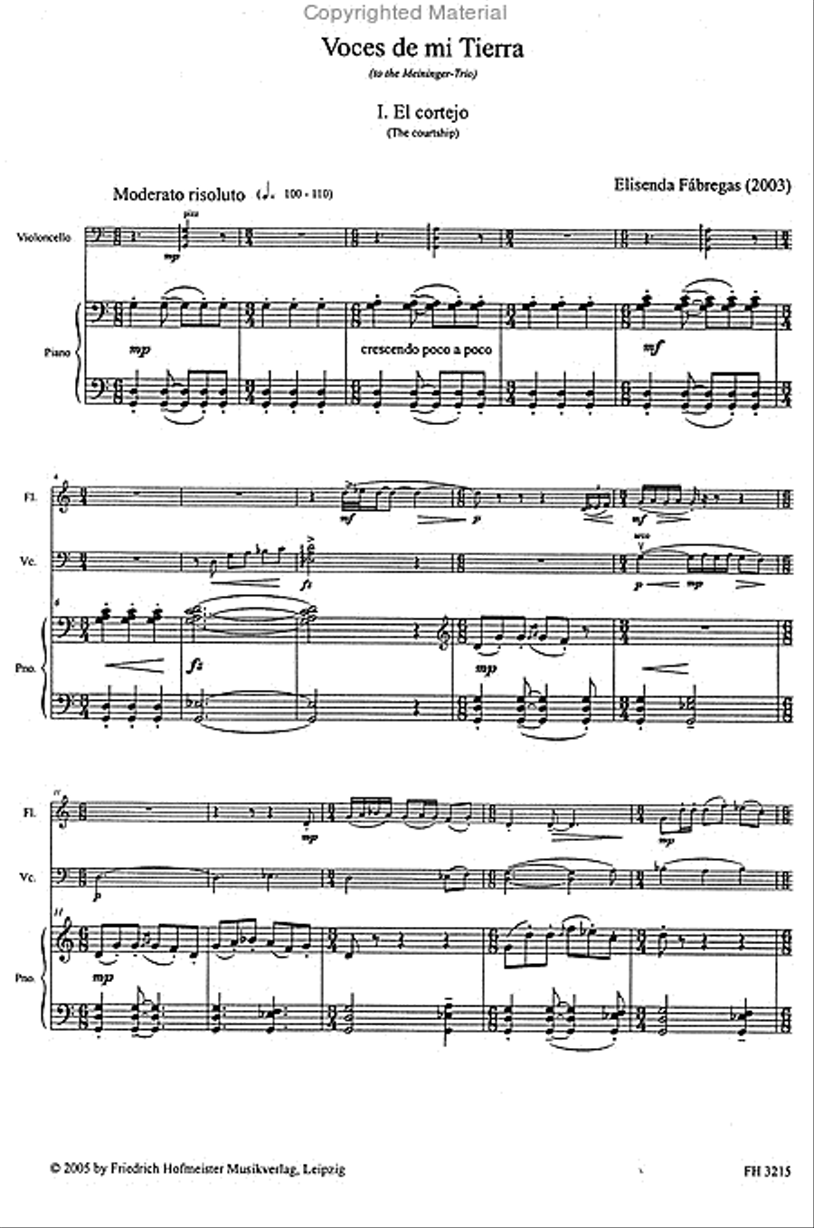 Voces de mi tierra Voces de mi tierra Flute scores gallery preview page 2