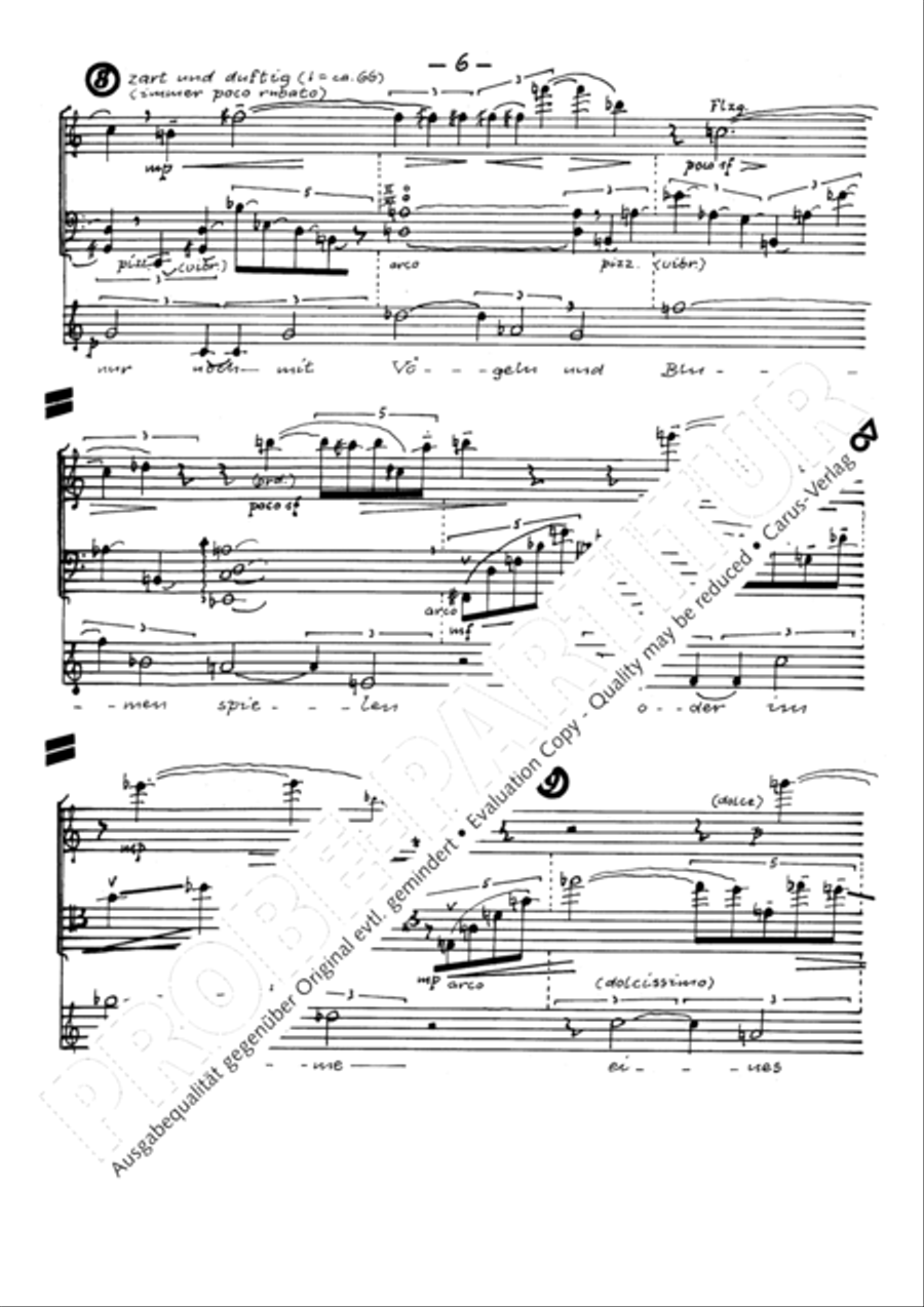 Todesblumen Flute scores gallery preview page 9