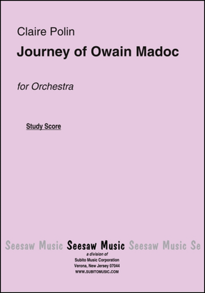 Journey of Owain Madoc
