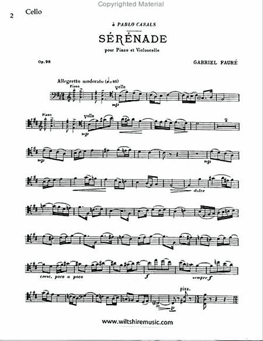 Serenade,Op.98 Piano Accompaniment scores gallery preview page 2
