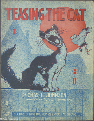 Book cover for Teasing The Cat