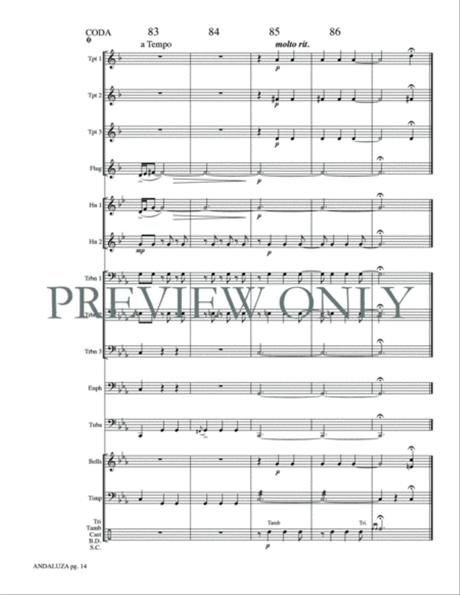 Andaluza Small Ensemble scores gallery preview page 16