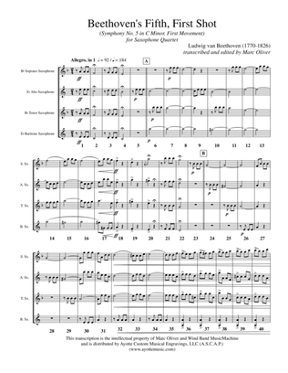 Beethoven's Fifth, First Shot (Symphony No. 5, First Movement)