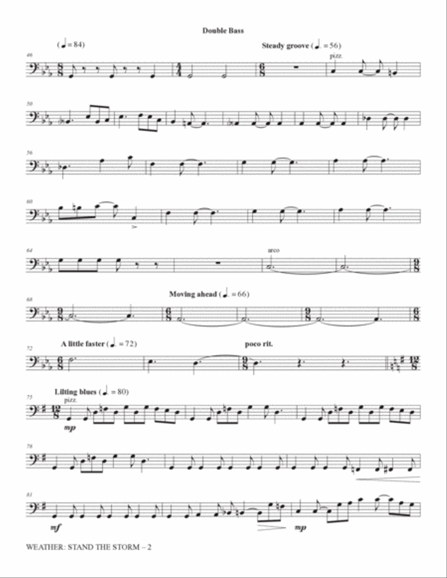 Weather: Stand The Storm (Chamber Ensemble) - Double Bass Choir scores gallery preview page 2