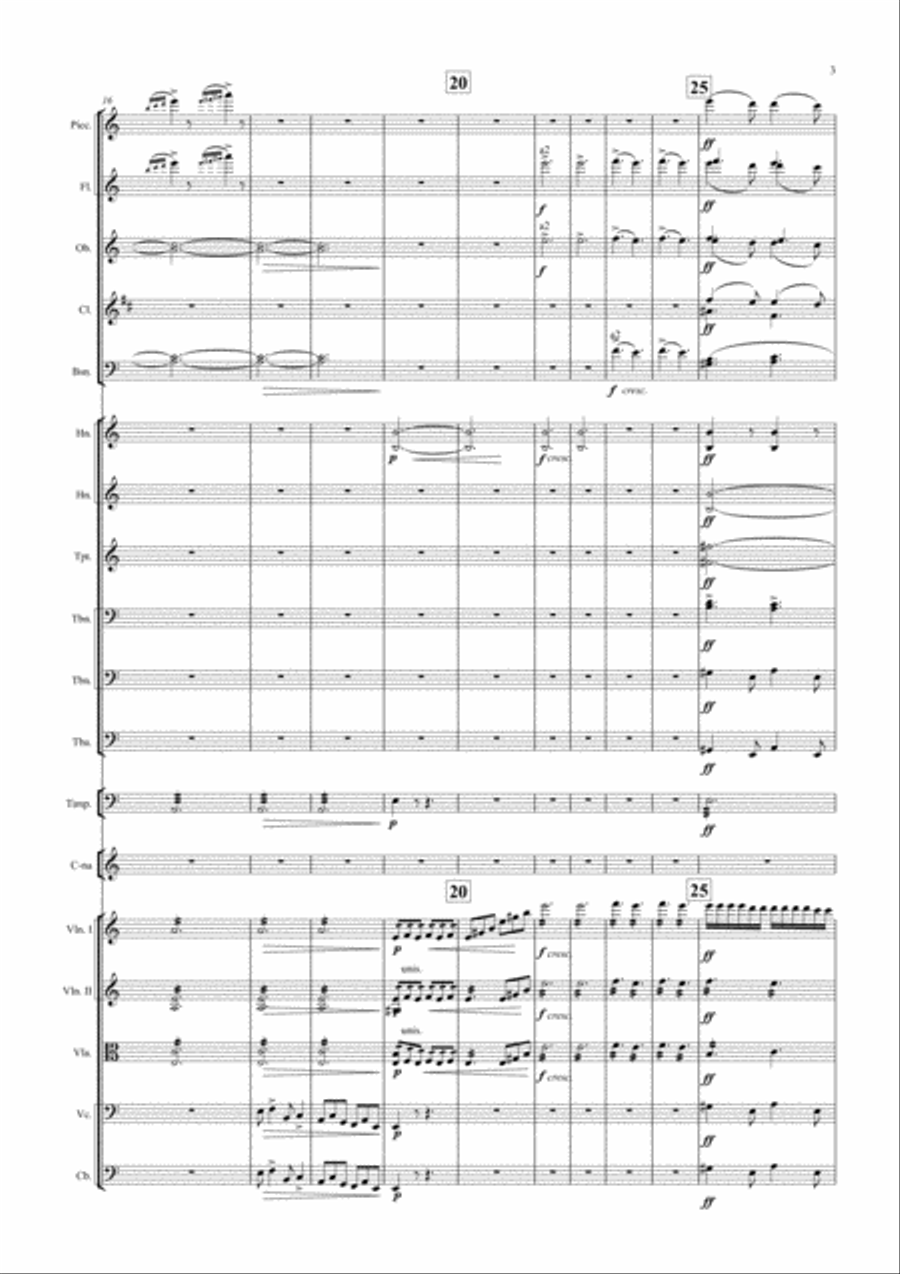 THE STORM Symphonic Picture Full Orchestra scores gallery preview page 3