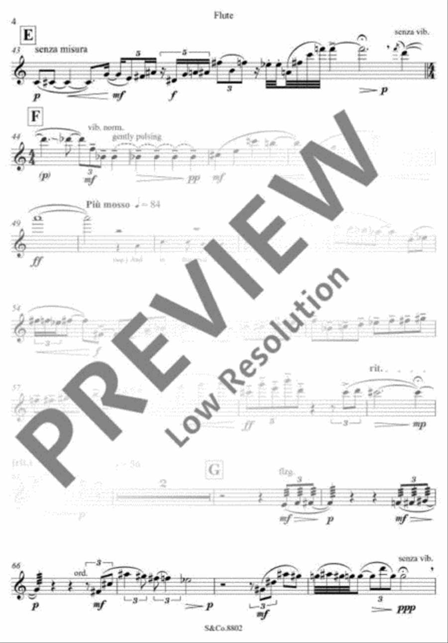 The Knight's Stone Flute Solo scores gallery preview page 7