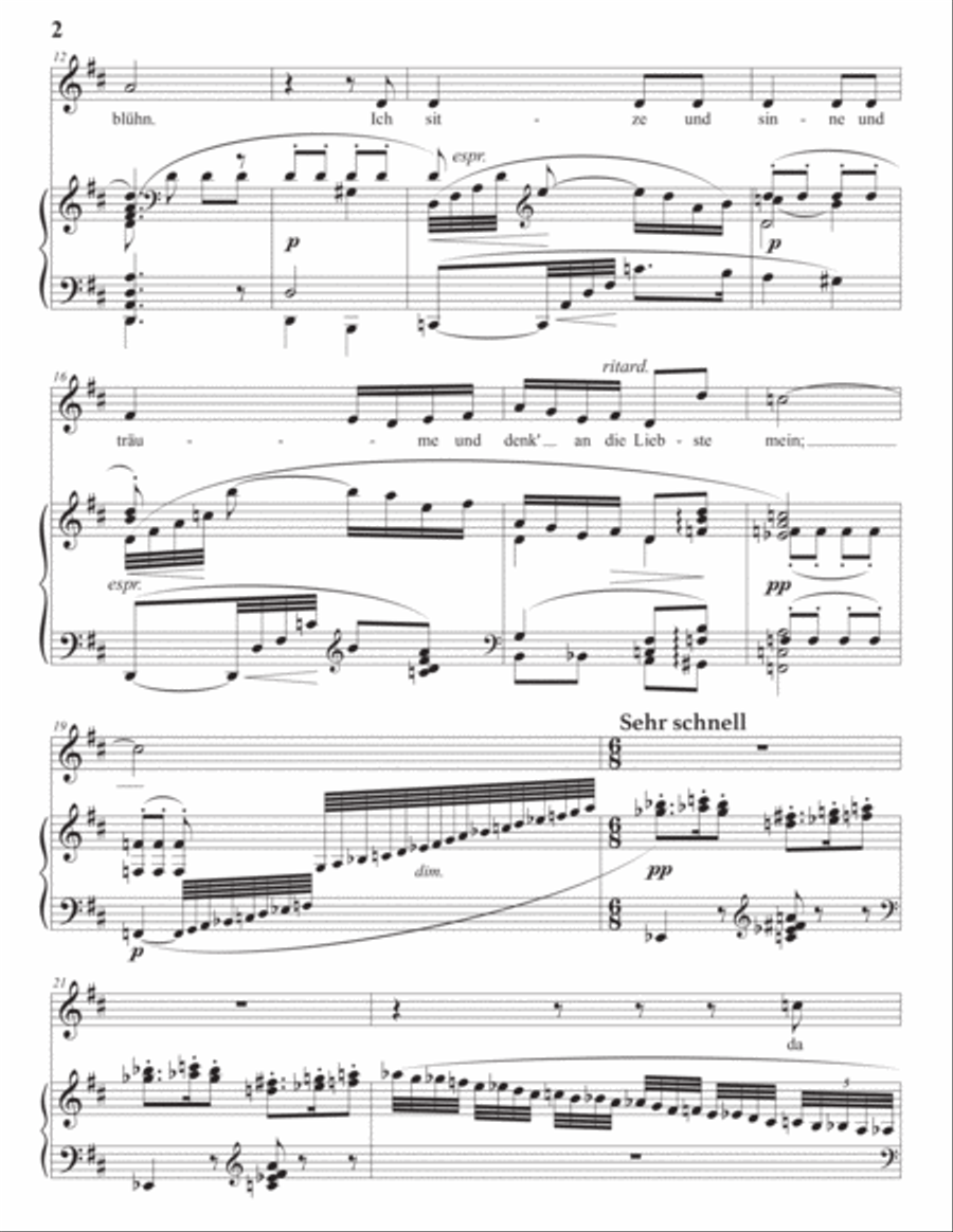 STRAUSS: Waldesfahrt, Op. 69 no. 4 (transposed to D major) Voice scores gallery preview page 3