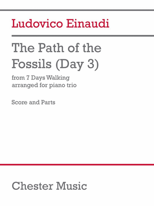 Book cover for The Path of the Fossils (Day 3)