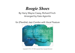 Book cover for Boogie Shoes