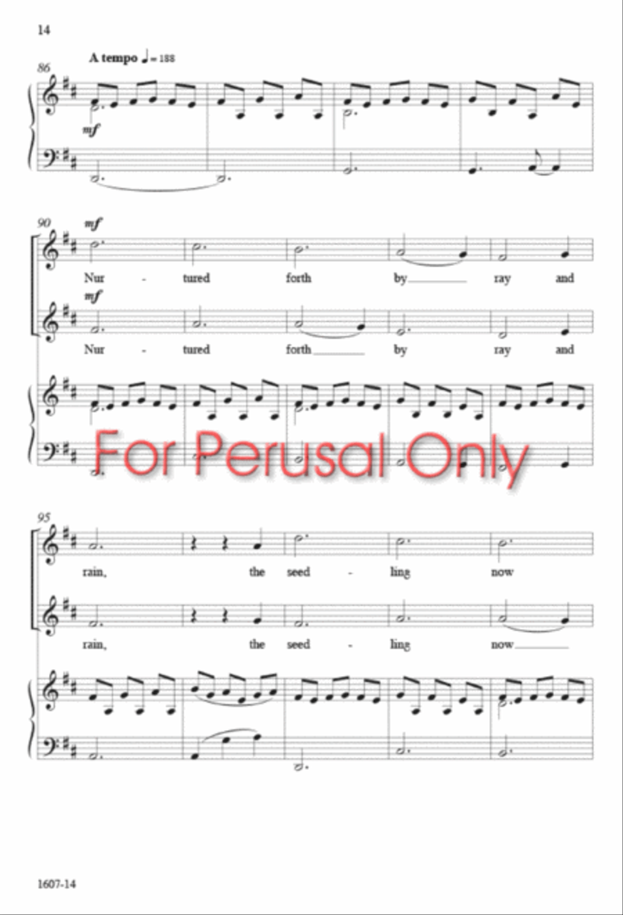 The Seedling - SA Octavo SA scores gallery preview page 13