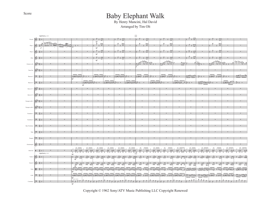 Baby Elephant Walk