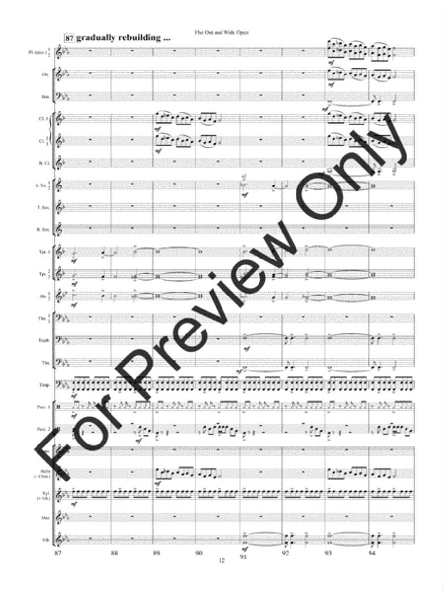 Flat Out and Wide Open Concert Band scores gallery preview page 15