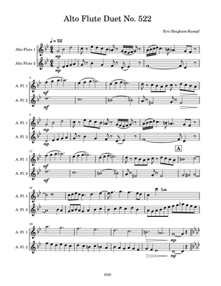 Book cover for Alto Flute Duet No. 522