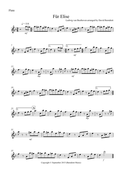 Fur Elise for Flute and Piano image number null