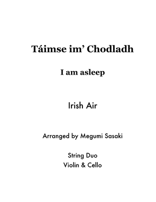 Taimse im Chodladh (I am asleep)