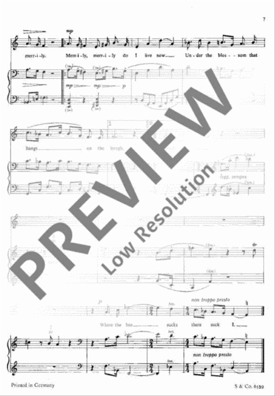 Songs for Ariel Songs for Ariel Medium Voice scores gallery preview page 12