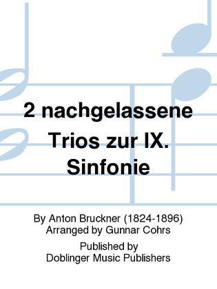 Book cover for 2 nachgelassene Trios zur IX. Sinfonie