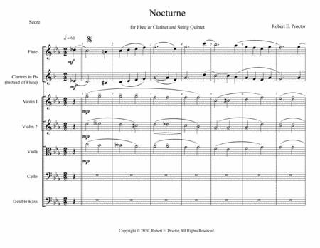 Nocturne for Flute and String Quintet image number null