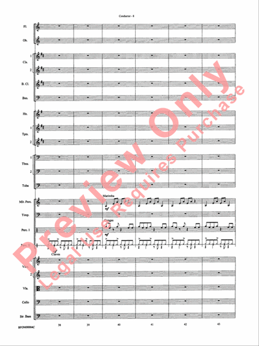 Rites of Tamburo Full Orchestra scores gallery preview page 11