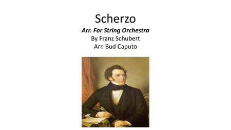Scherzo Arranged for Strings image number null