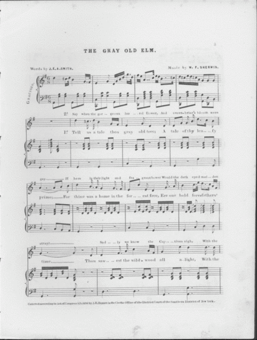 The Gray Old Elm. Song and Chorus Choir scores gallery preview page 2