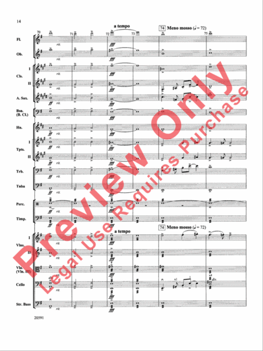 New World Symphony (Fourth Movement) Full Orchestra scores gallery preview page 15