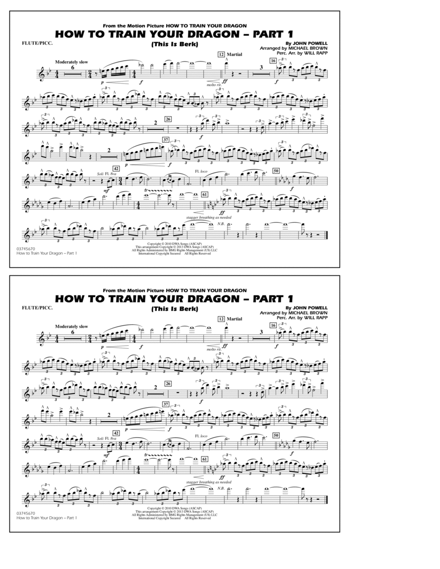 How To Train Your Dragon Part 1 - Flute/Piccolo Marching Band scores gallery preview page 1