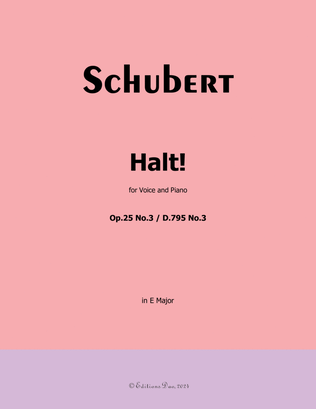 Halt! by Schubert, Op.25 No.3, in E Major