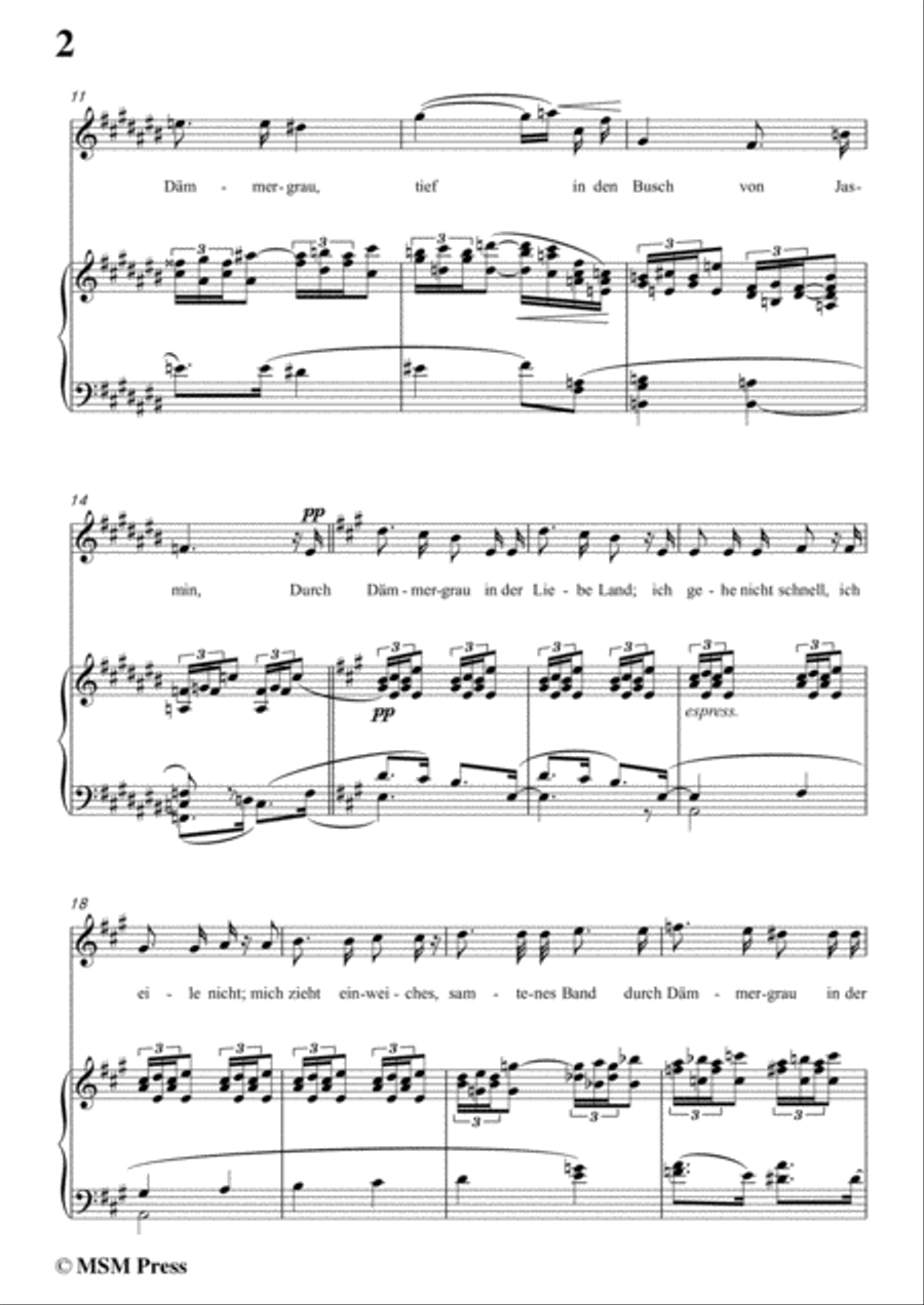Richard Strauss-Traum Durch die Dämmerung in A Major,for Voice and Piano Voice Solo scores gallery preview page 4