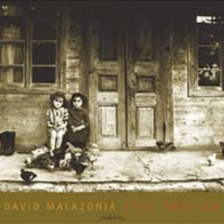 David Malazonia - First Swallow
