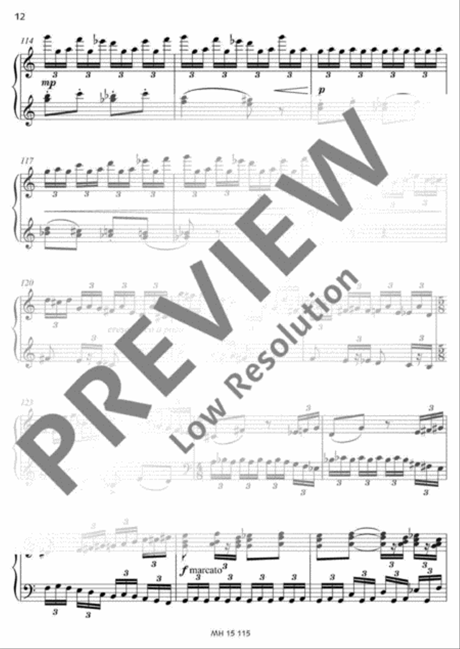 Sommer-Mosaik Sommer-Mosaik Accordion scores gallery preview page 13