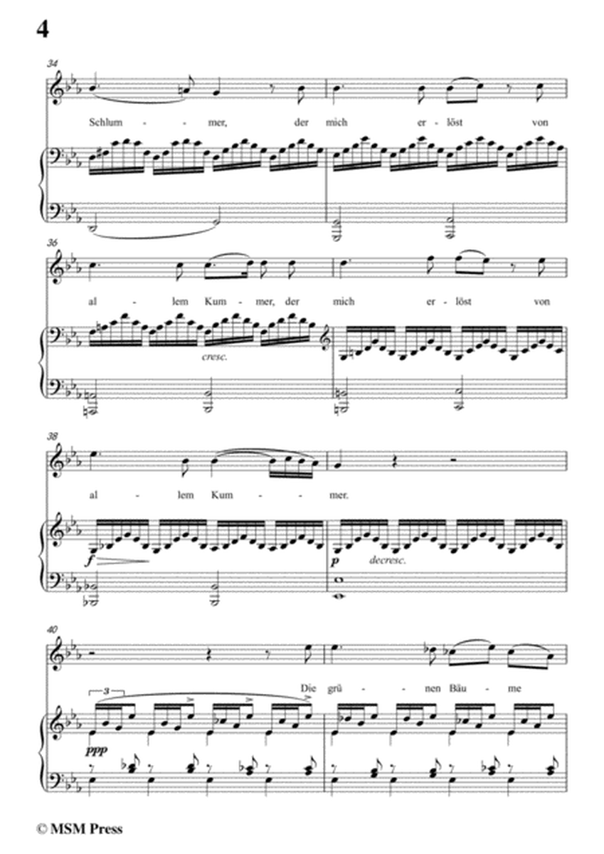 Schubert-Nachtstück,Op.36 No.2,in c minor,for Voice&Piano image number null