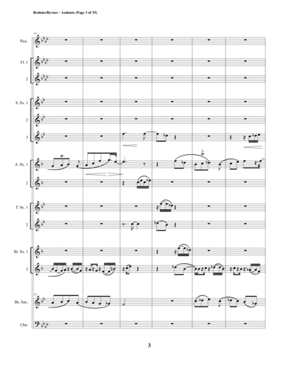 Andante, Op. 5, Mvt. 2 (Saxophone Choir + Piccolo, 2 Flutes & Contrabassoon) image number null