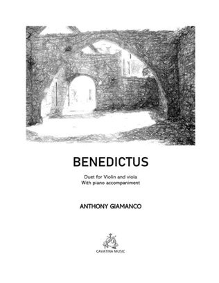 Book cover for Benedictus (Violin, Viola and piano)