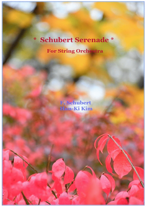 Book cover for Schubert Serenade (For String Orchestra)