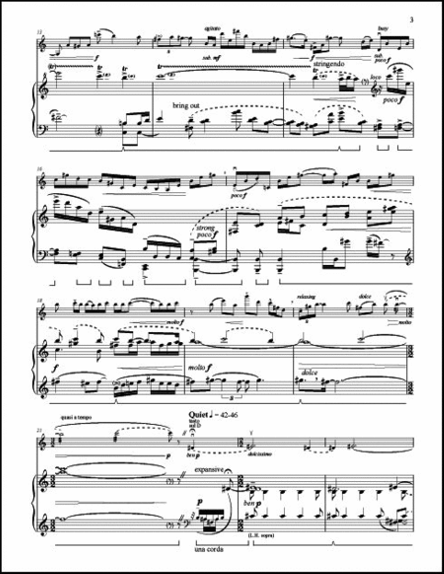 Sonata-Rhapsody Violin Solo scores gallery preview page 4
