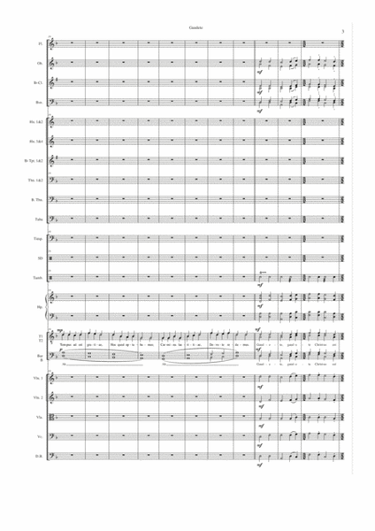 Gaudete TTBB Orchestral Accompaniment Score and Parts image number null