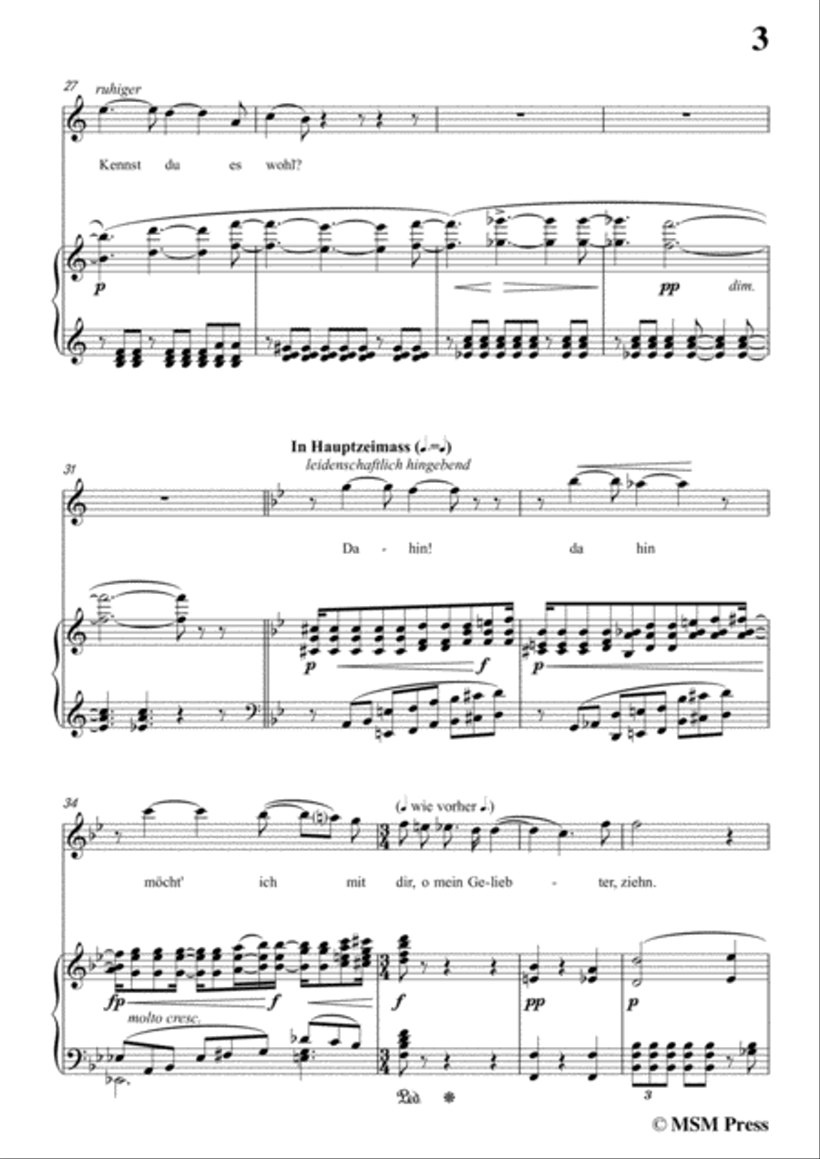 Wolf-Mignon in B flat Major,for Voice and Piano Piano, Vocal scores gallery preview page 5