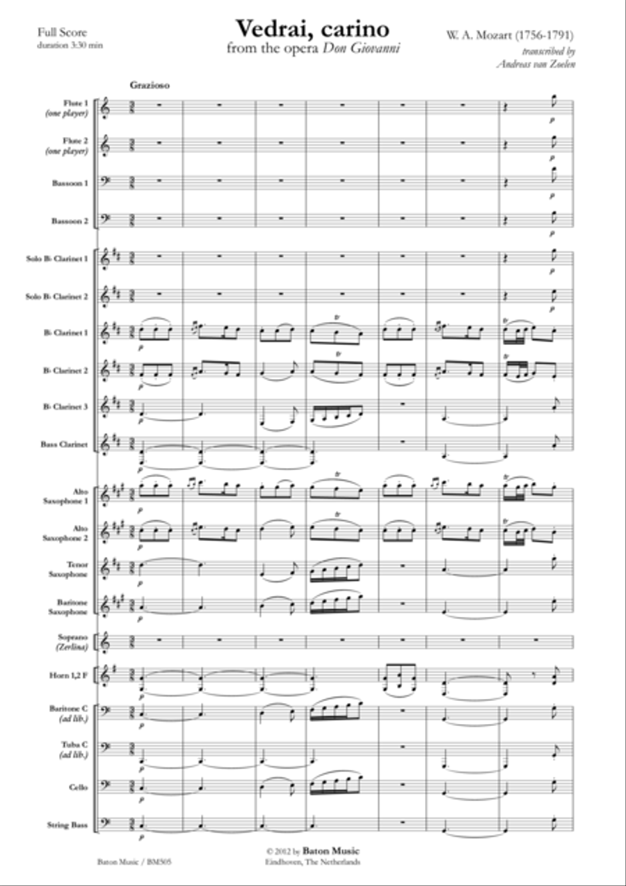 Vedrai, carino Vedrai, carino Concert Band scores gallery preview page 2