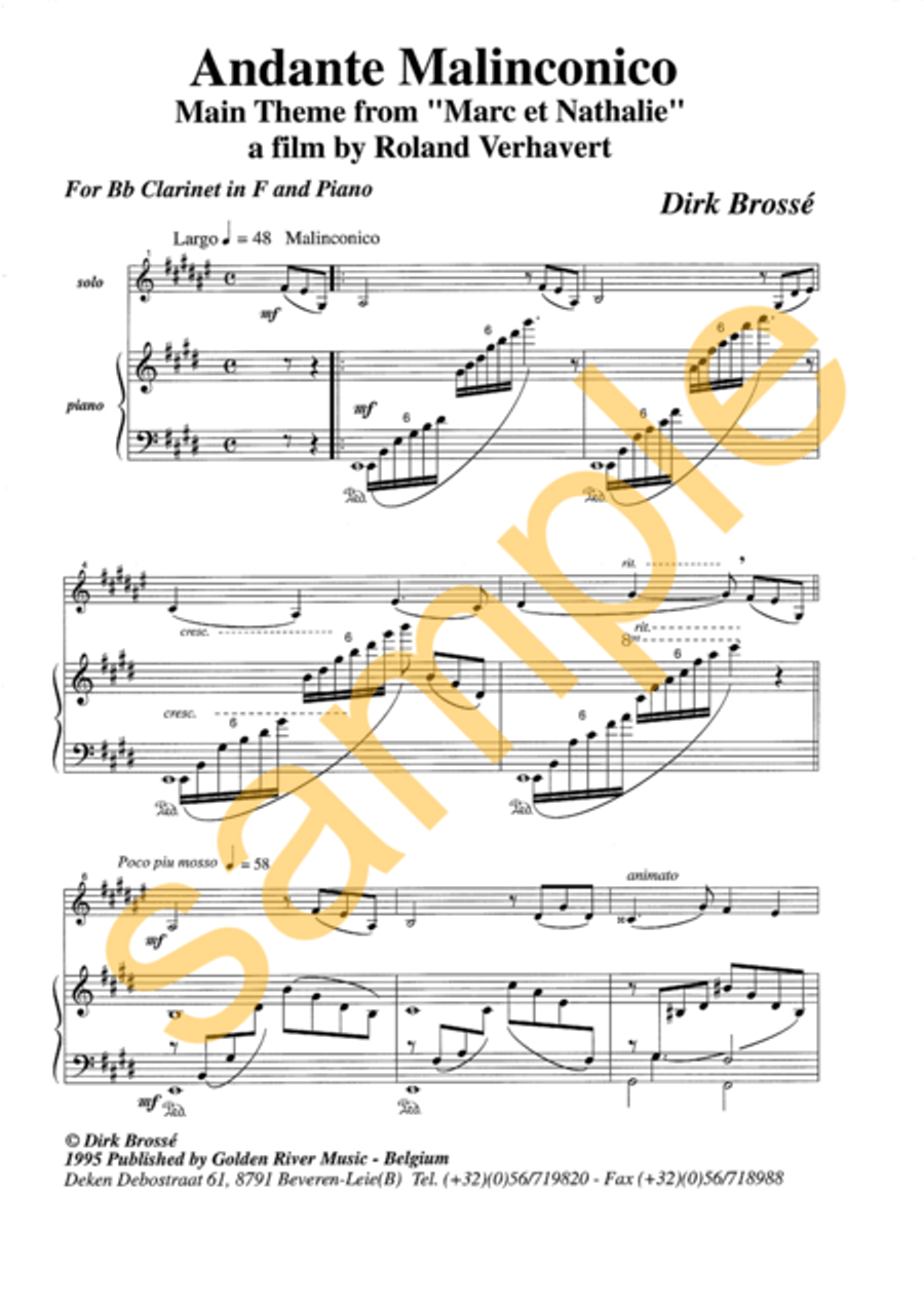 Andante Malinconico for clarinet Clarinet Solo scores gallery preview page 2