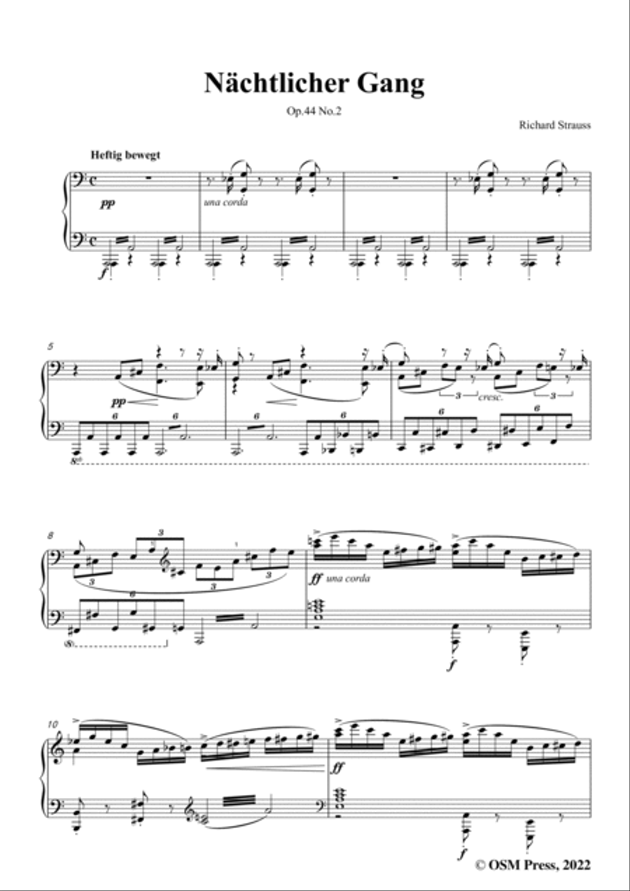 Richard Strauss-Nächtlicher Gang,in C Major,Op.44 No.2 Voice scores gallery preview page 3