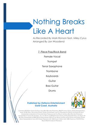 Book cover for Nothing Breaks Like A Heart