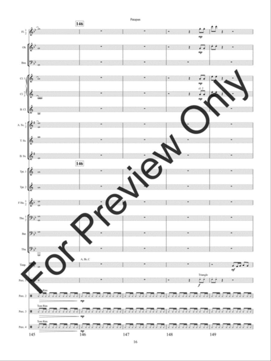 Patapan (Score) Concert Band scores gallery preview page 19