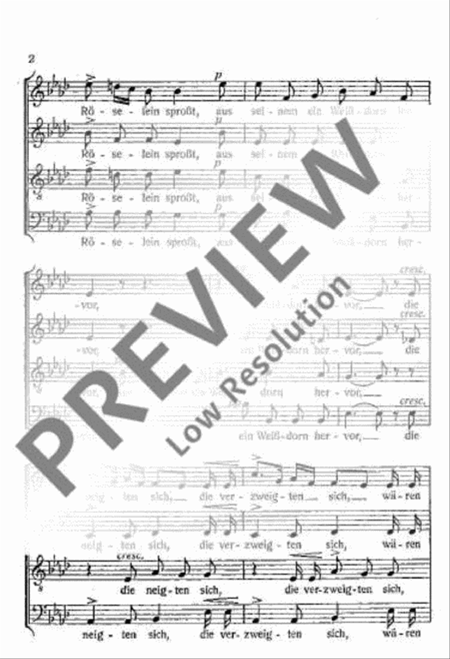 In der Marienkirche 4-Part scores gallery preview page 3