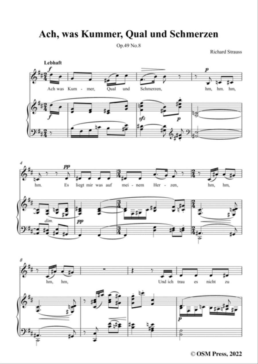 Richard Strauss-Ach,was Kummer,Qual und Schmerzen,in b minor Voice scores gallery preview page 3